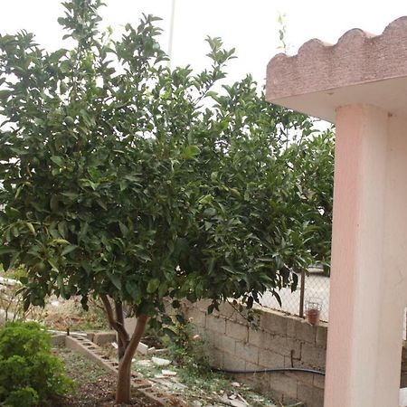 Casa Vacanze ピシーナス エクステリア 写真