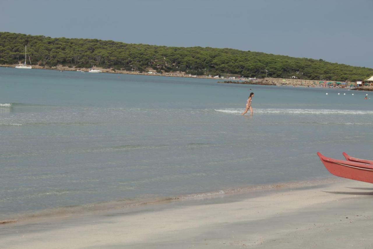 Casa Vacanze ピシーナス エクステリア 写真